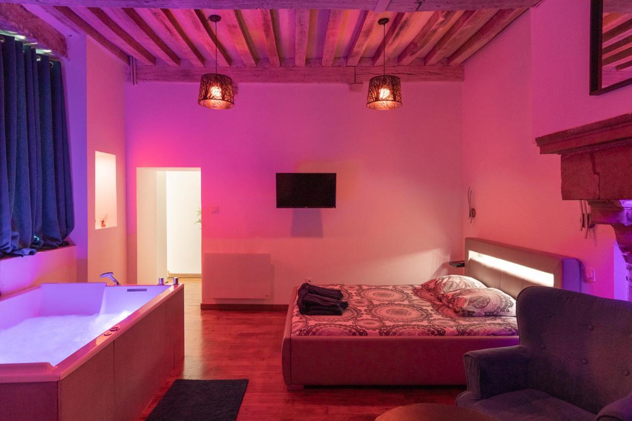 Apartment Luxury Dijon